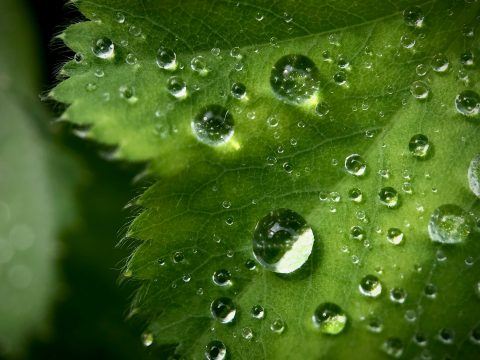 Entreprise nettoyage écologique Haut-Rhin