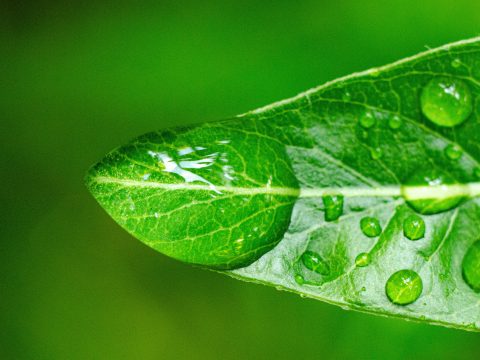 Société de nettoyage écologique Haut-Rhin