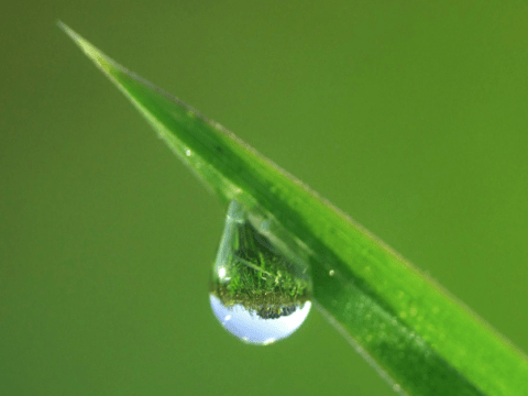 Entreprise de nettoyage écologique